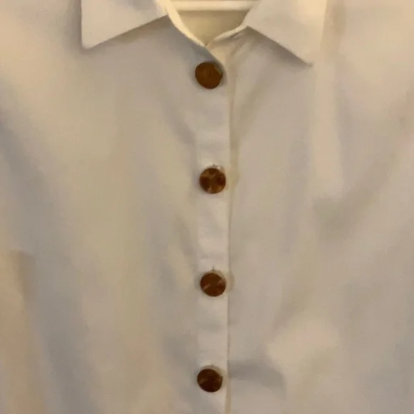 Pennies Button clip covers! Upgrade your blouse$ - Picture 3 of 3